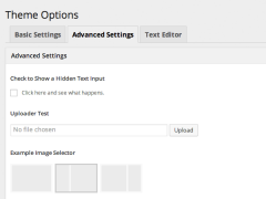 Options Framework